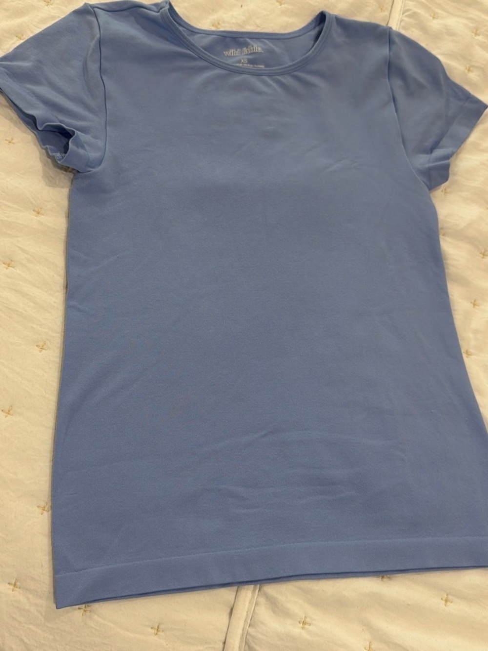 wild fable Blue Scoop Neck Tee